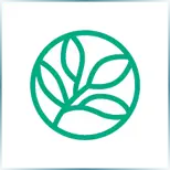 Evergreen Valley College